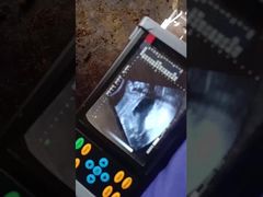 Przenośny ultrasonograf weterynaryjny BR-VET7