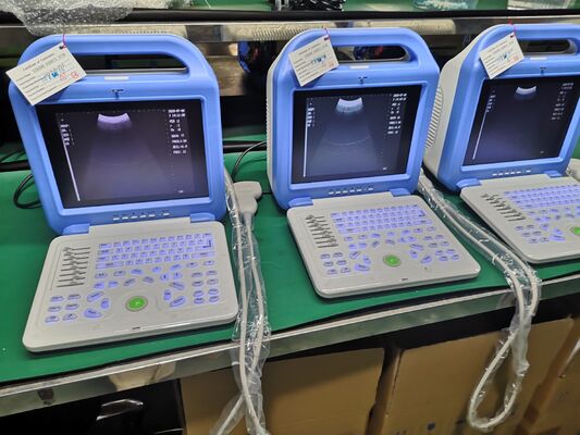 Digital Laptop Ultrasonic  Diagnosis  Equipment to Human